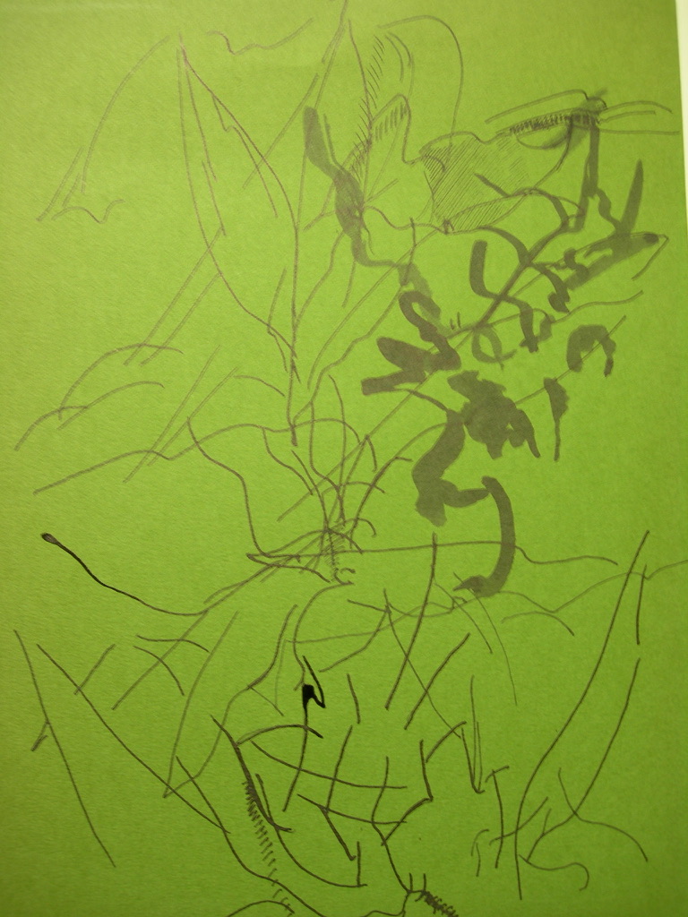 Untitled Korea-era drawing by Joa on green paper