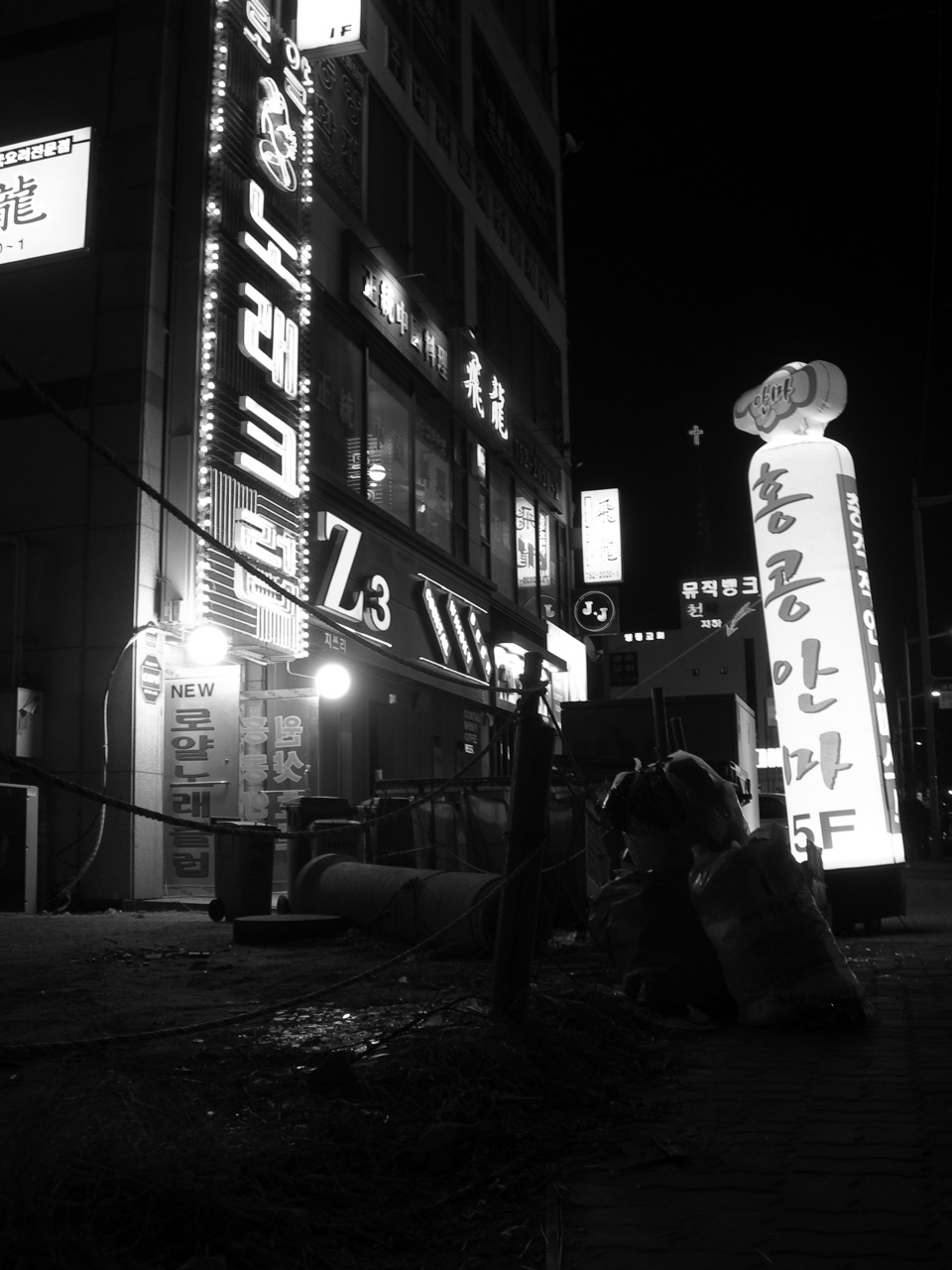 A black-and-white Airport New Town street with neon signs and rubbish at the kerb